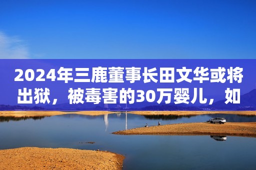 2024年三鹿董事长田文华或将出狱，被毒害的30万婴儿，如今怎样了