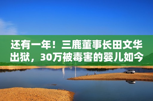 还有一年！三鹿董事长田文华出狱，30万被毒害的婴儿如今怎样？