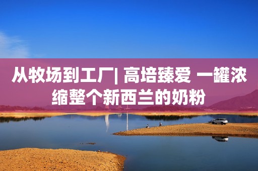 从牧场到工厂| 高培臻爱 一罐浓缩整个新西兰的奶粉