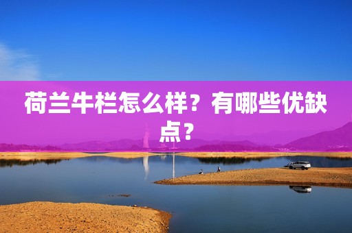 荷兰牛栏怎么样？有哪些优缺点？
