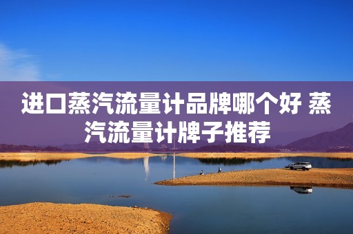 进口蒸汽流量计品牌哪个好 蒸汽流量计牌子推荐