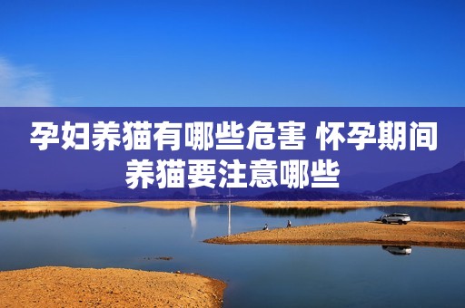 孕妇养猫有哪些危害 怀孕期间养猫要注意哪些