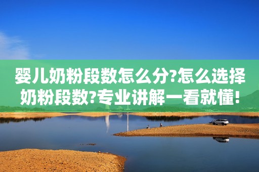 婴儿奶粉段数怎么分?怎么选择奶粉段数?专业讲解一看就懂!