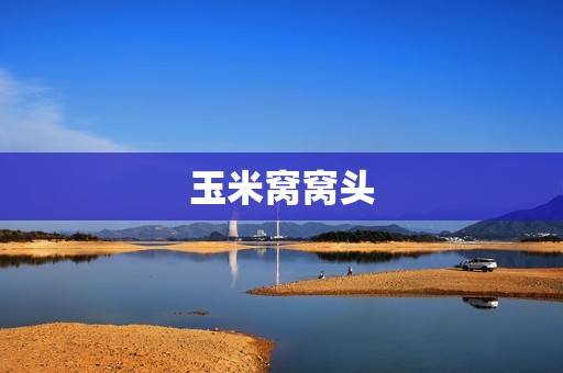 玉米窝窝头