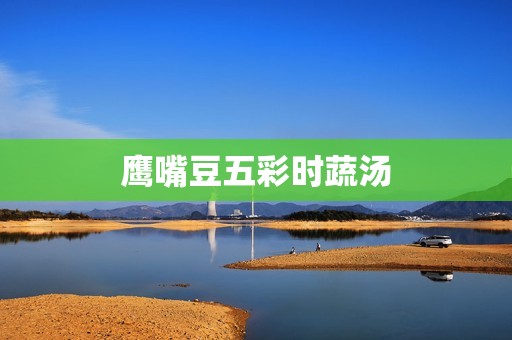 鹰嘴豆五彩时蔬汤
