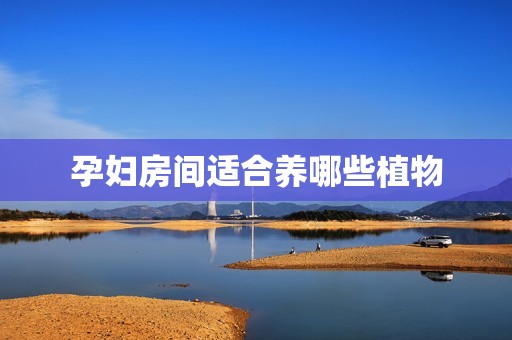 孕妇房间适合养哪些植物