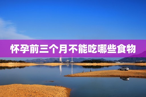 怀孕前三个月不能吃哪些食物