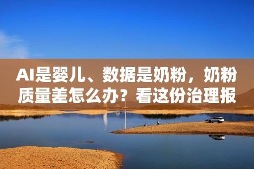 AI是婴儿、数据是奶粉，奶粉质量差怎么办？看这份治理报告