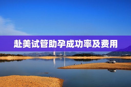 赴美试管助孕成功率及费用