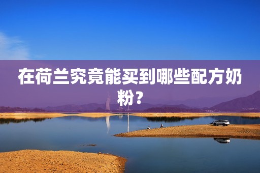 在荷兰究竟能买到哪些配方奶粉？