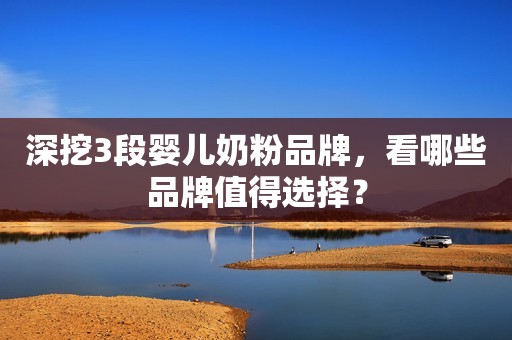 深挖3段婴儿奶粉品牌，看哪些品牌值得选择？