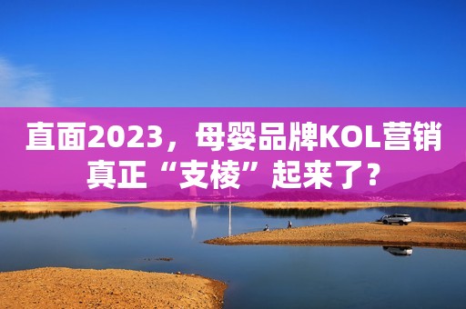 直面2023，母婴品牌KOL营销真正“支棱”起来了？