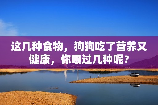 这几种食物，狗狗吃了营养又健康，你喂过几种呢？