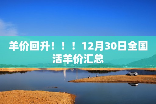羊价回升！！！12月30日全国活羊价汇总