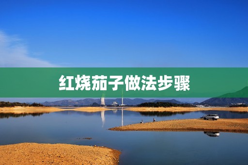 红烧茄子做法步骤