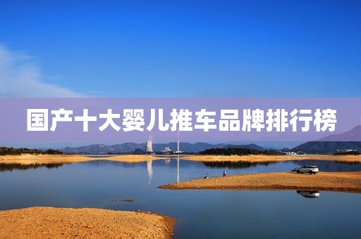 国产十大婴儿推车品牌排行榜