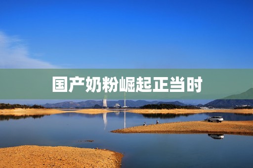 国产奶粉崛起正当时