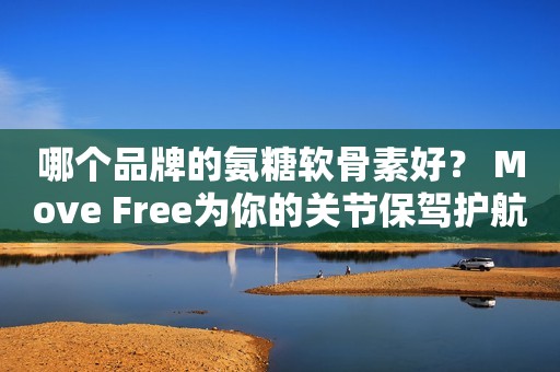 哪个品牌的氨糖软骨素好？ Move Free为你的关节保驾护航