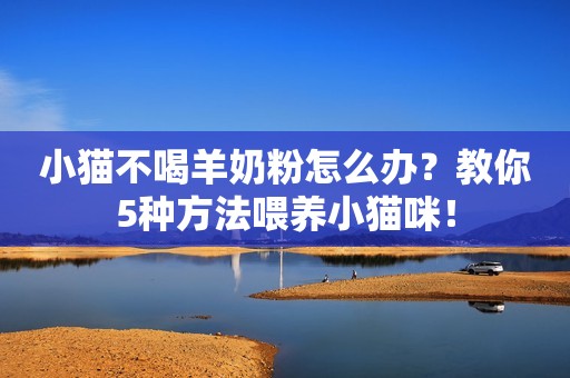 小猫不喝羊奶粉怎么办？教你5种方法喂养小猫咪！