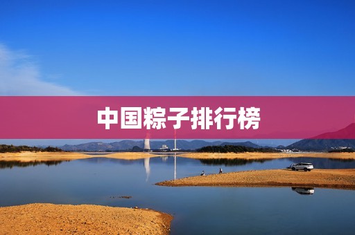 中国粽子排行榜