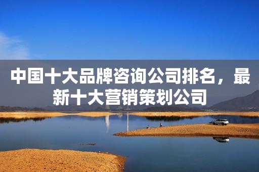 中国十大品牌咨询公司排名，最新十大营销策划公司