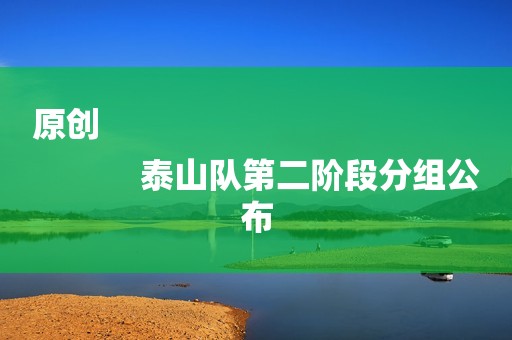 原创
            泰山队第二阶段分组公布