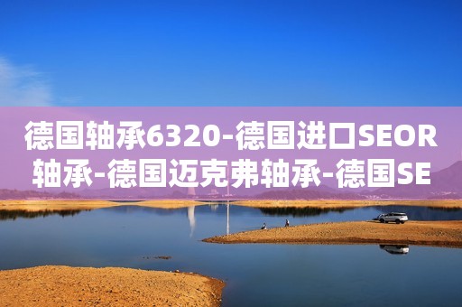 德国轴承6320-德国进口SEOR轴承-德国迈克弗轴承-德国SEOR进口轴承