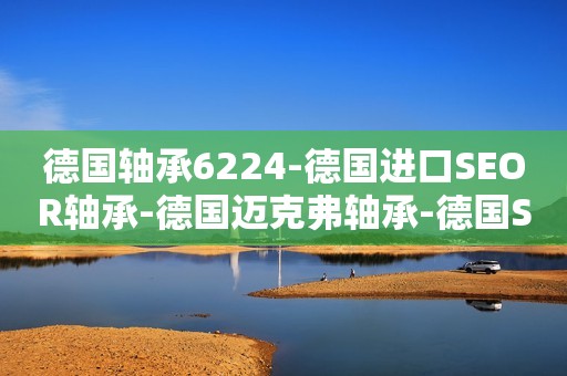 德国轴承6224-德国进口SEOR轴承-德国迈克弗轴承-德国SEOR进口轴承