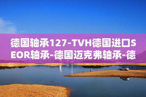 德国轴承127-TVH德国进口SEOR轴承-德国迈克弗轴承-德国SEOR进口轴承