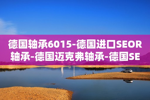 德国轴承6015-德国进口SEOR轴承-德国迈克弗轴承-德国SEOR进口轴承