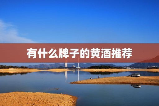 有什么牌子的黄酒推荐