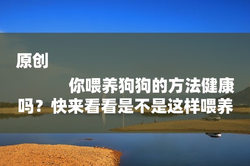 原创
            你喂养狗狗的方法健康吗？快来看看是不是这样喂养的！