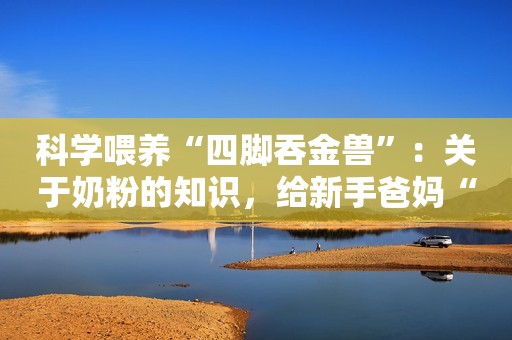 科学喂养“四脚吞金兽”：关于奶粉的知识，给新手爸妈“划重点”