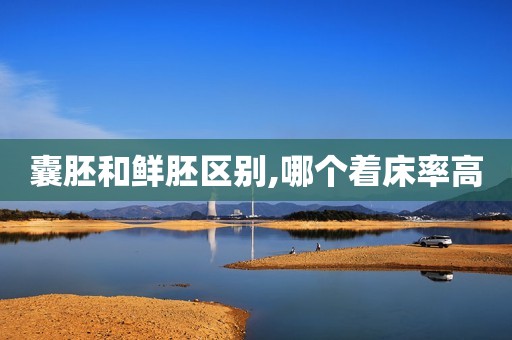 囊胚和鲜胚区别,哪个着床率高
