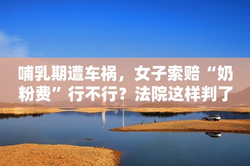 哺乳期遭车祸，女子索赔“奶粉费”行不行？法院这样判了→