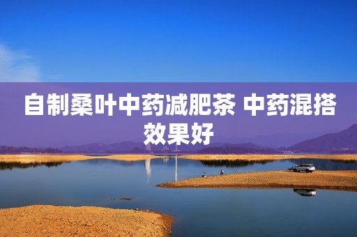自制桑叶中药减肥茶 中药混搭效果好