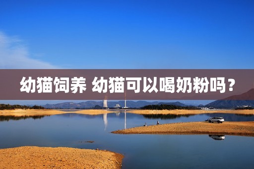幼猫饲养 幼猫可以喝奶粉吗？