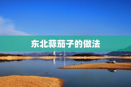 东北蒜茄子的做法