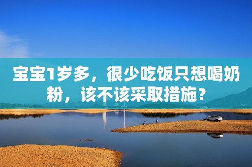 宝宝1岁多，很少吃饭只想喝奶粉，该不该采取措施？
