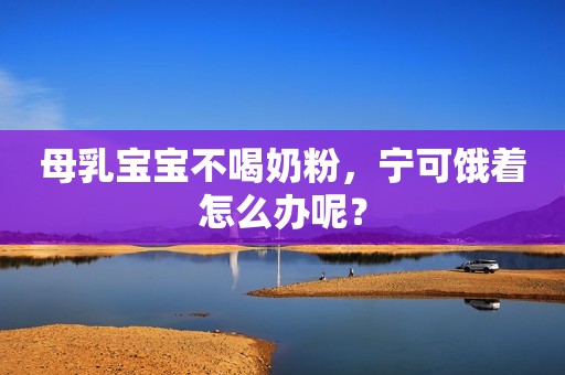 母乳宝宝不喝奶粉，宁可饿着怎么办呢？