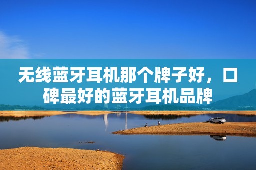 无线蓝牙耳机那个牌子好，口碑最好的蓝牙耳机品牌