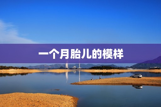 一个月胎儿的模样