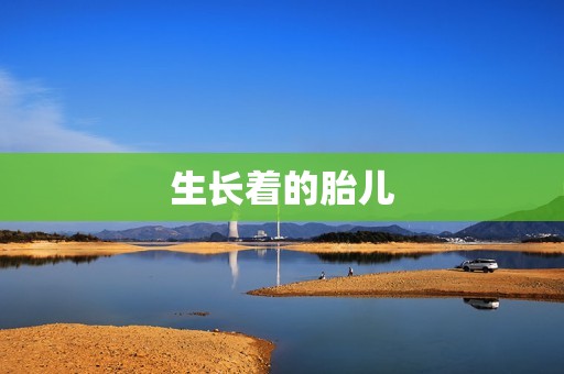 生长着的胎儿