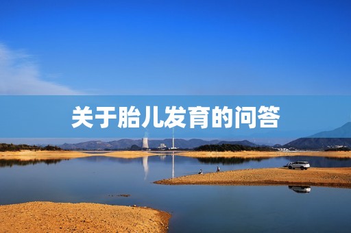 关于胎儿发育的问答
