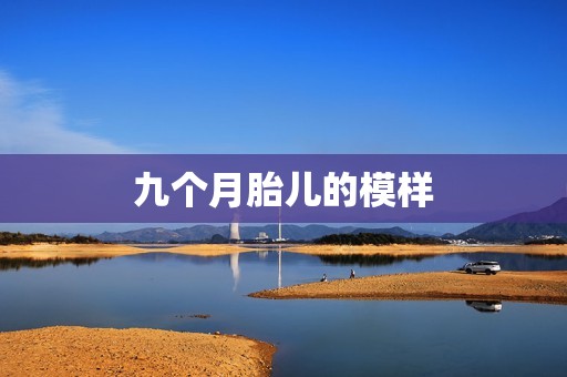 九个月胎儿的模样