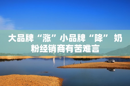 大品牌“涨”小品牌“降” 奶粉经销商有苦难言