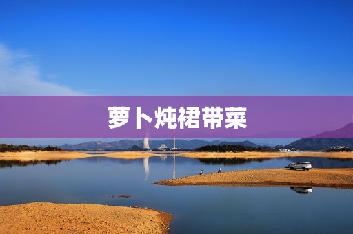萝卜炖裙带菜