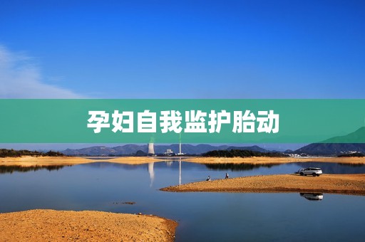 孕妇自我监护胎动