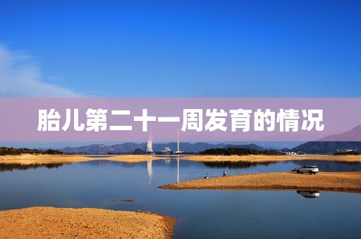 胎儿第二十一周发育的情况