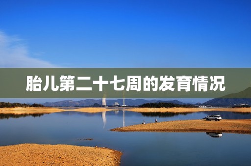 胎儿第二十七周的发育情况